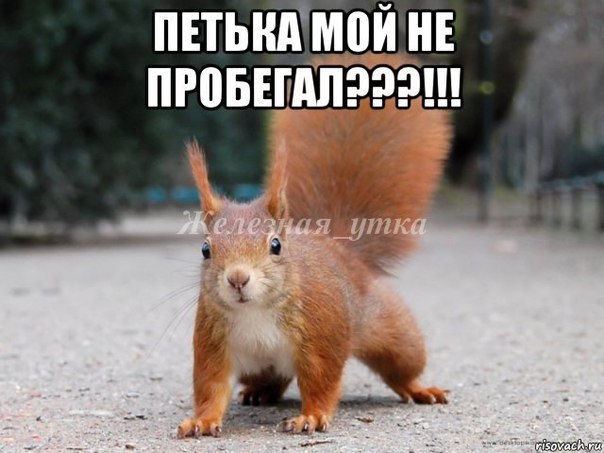 "Мыздобулы" в картинках. Смешных и не очень... 11-09-2016 "Мыздобулы" в картинках. Смешных и не очень... 11-09-2016