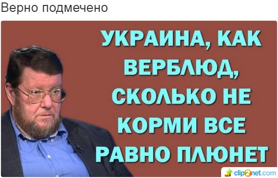 "Мыздобулы" в картинках. Смешных и не очень... 11-09-2016 "Мыздобулы" в картинках. Смешных и не очень... 11-09-2016