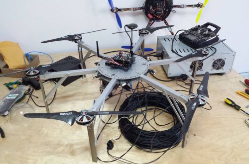 А когда-то они умели летать © А когда-то они умели летать ©