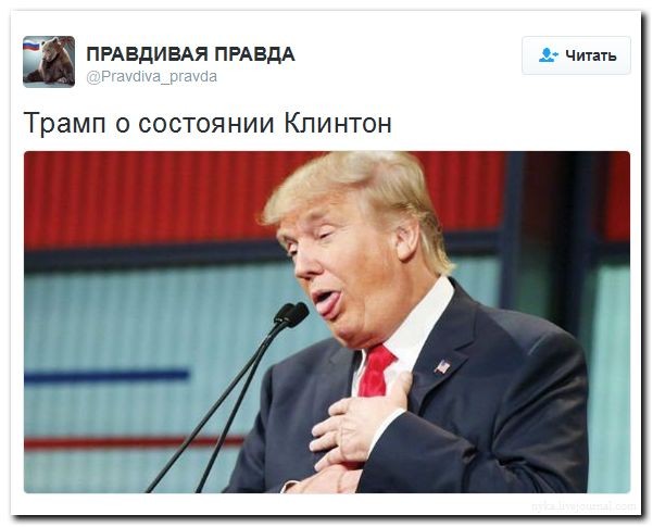 Подборка картинок