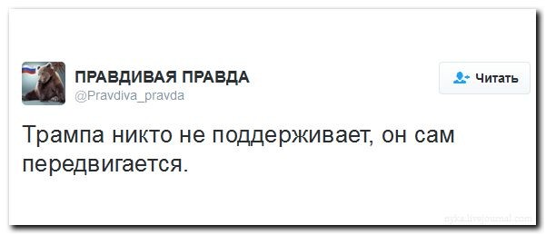 Подборка картинок