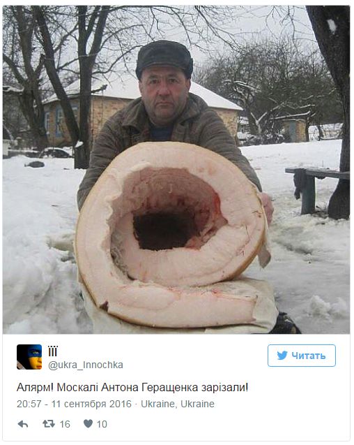 "Мыздобулы" в картинках. Смешных и не очень... 12-09-2016 "Мыздобулы" в картинках. Смешных и не очень... 12-09-2016