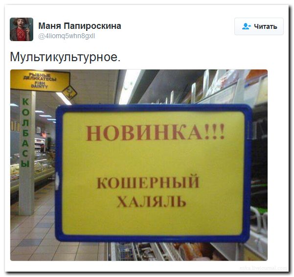 "Мыздобулы" в картинках. Смешных и не очень... 12-09-2016 "Мыздобулы" в картинках. Смешных и не очень... 12-09-2016