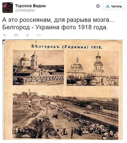 Истерический разрыв мозга и годный троллинг