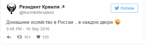 Это вам не свиней выращивать: Домашнее хозяйство в России... в каждом дворе