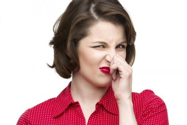 Польшу пучит и колбасит. Николай Долгачев