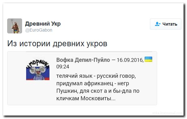 "Мыздобулы" в картинках. Смешных и не очень... 17-09-2016 "Мыздобулы" в картинках. Смешных и не очень... 17-09-2016