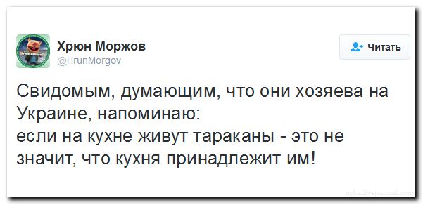 "Мыздобулы" в картинках. Смешных и не очень... 17-09-2016 "Мыздобулы" в картинках. Смешных и не очень... 17-09-2016