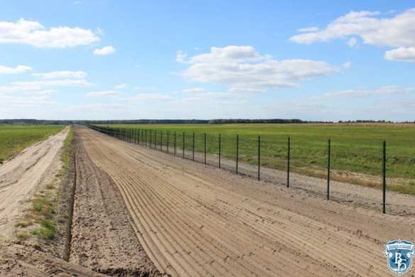 Кажется, они что-то знают: на границе с Украиной белорусские пограничники строят стену Кажется, они что-то знают: на границе с Украиной белорусские пограничники строят стену