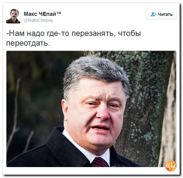 "Мыздобулы" в картинках. Смешных и не очень... 24-09-2016 "Мыздобулы" в картинках. Смешных и не очень... 24-09-2016