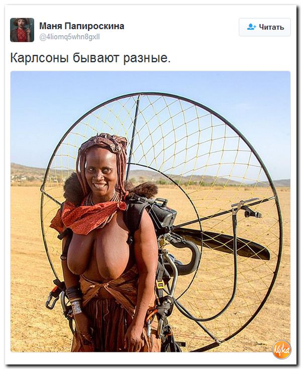 "Мыздобулы" в картинках. Смешных и не очень... 24-09-2016 "Мыздобулы" в картинках. Смешных и не очень... 24-09-2016