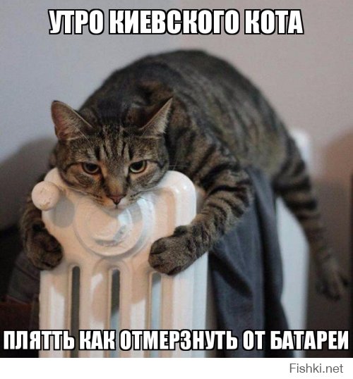 "Мыздобулы" в картинках. Смешных и не очень... 29-09-2016