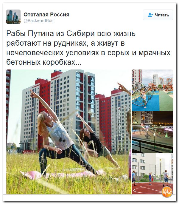 "Мыздобулы" в картинках. Смешных и не очень... 29-09-2016