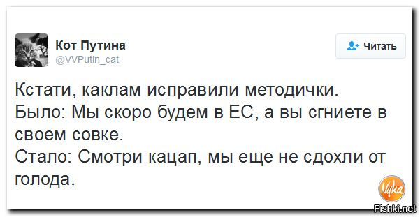 "Мыздобулы" в картинках. Смешных и не очень... 29-09-2016