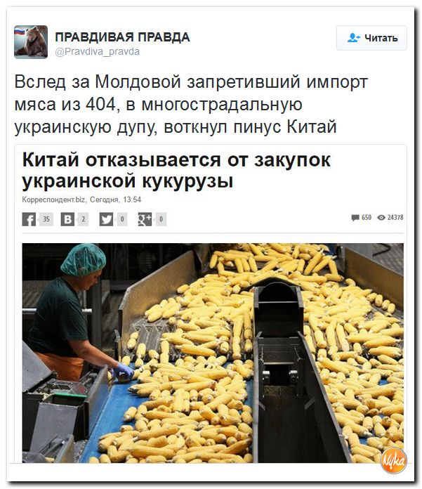 "Мыздобулы" в картинках. Смешных и не очень... 30-09-2016