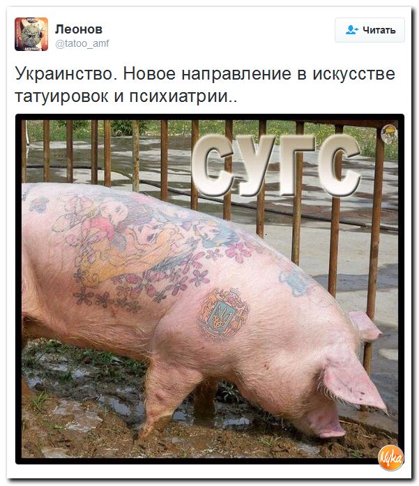 "Мыздобулы" в картинках. Смешных и не очень... 30-09-2016