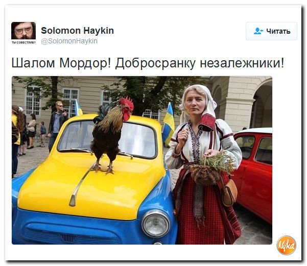 "Мыздобулы" в картинках. Смешных и не очень... 30-09-2016