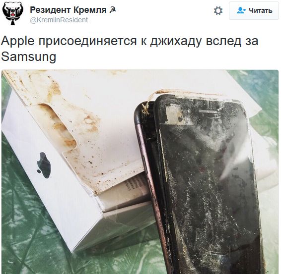 "Мыздобулы" в картинках. Смешных и не очень... 30-09-2016