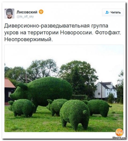 "Мыздобулы" в картинках. Смешных и не очень... 30-09-2016