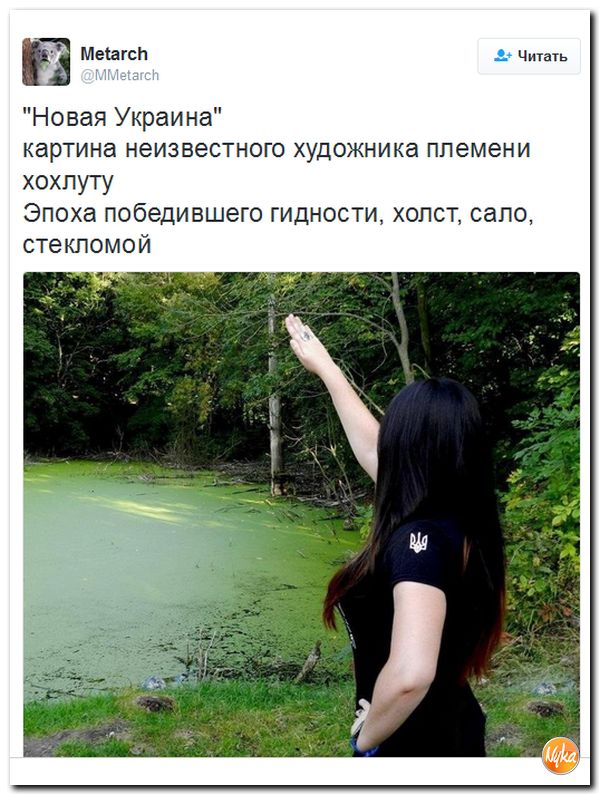 "Мыздобулы" в картинках. Смешных и не очень... 30-09-2016