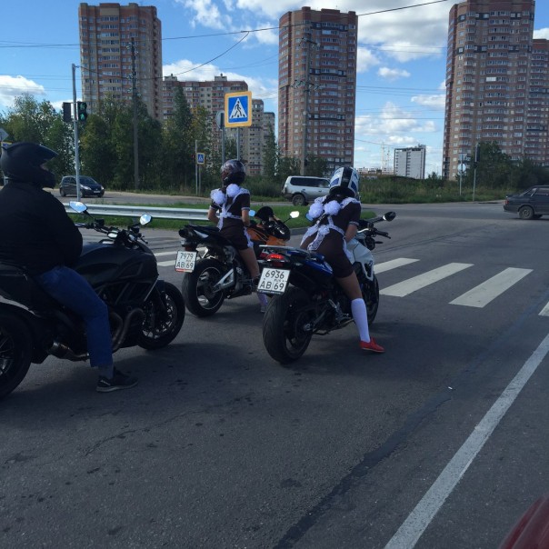 "Мыздобулы" в картинках. Смешных и не очень... 2-09-2016
