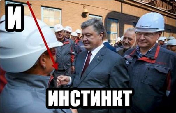 "Мыздобулы" в картинках. Смешных и не очень... 2-09-2016