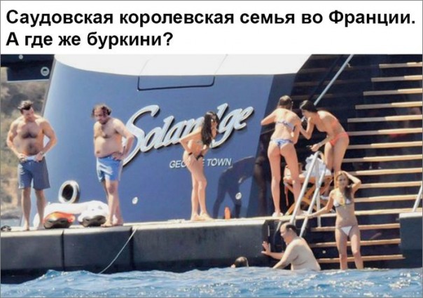 "Мыздобулы" в картинках. Смешных и не очень... 2-09-2016