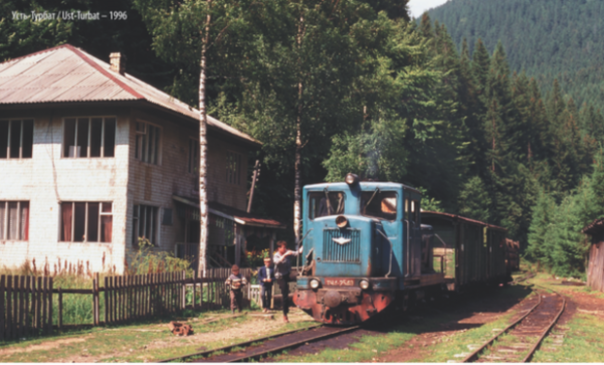 Дурнувати та воровати