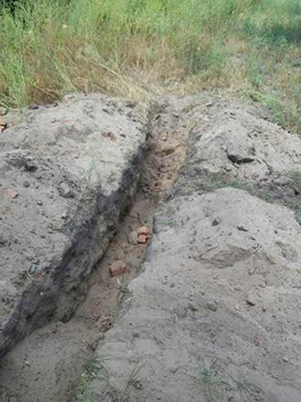 Дурнувати та воровати