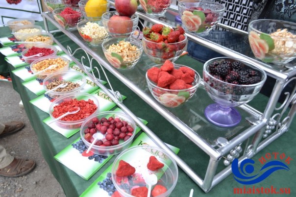 ВДНХ ЛНР-2016 завершила работу, показав на трех площадках все сферы хозяйства Республики | Экономический форум в ЛНР ВДНХ ЛНР-2016 завершила работу, показав на трех площадках все сферы хозяйства Республики | Экономический форум в ЛНР