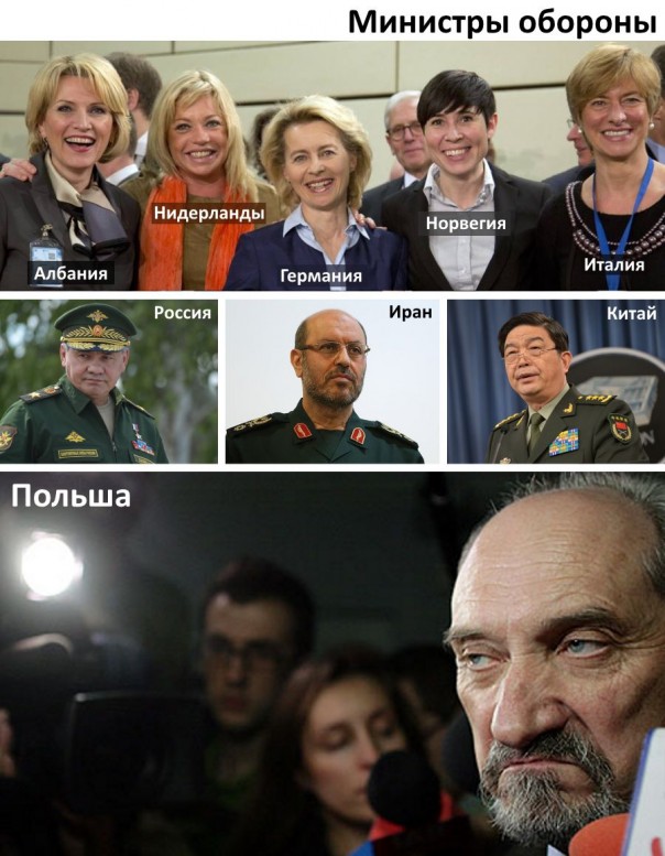 "Мыздобулы" в картинках. Смешных и не очень... 5-09-2016 "Мыздобулы" в картинках. Смешных и не очень... 5-09-2016