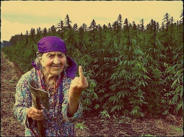 Абсурдные новости. 8 сентября 2016 года Абсурдные новости. 8 сентября 2016 года