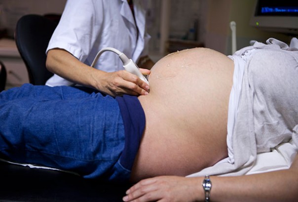 На клеточном уровне