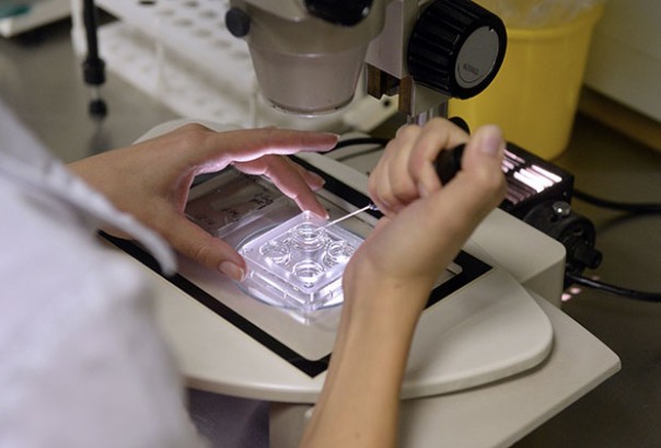 На клеточном уровне