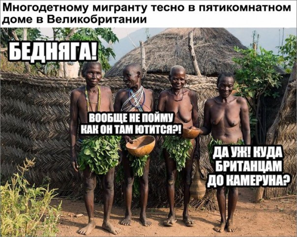 "Мыздобулы" в картинках. Смешных и не очень... 11-09-2016 "Мыздобулы" в картинках. Смешных и не очень... 11-09-2016