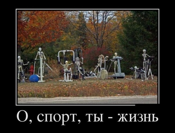 "Мыздобулы" в картинках. Смешных и не очень... 11-09-2016 "Мыздобулы" в картинках. Смешных и не очень... 11-09-2016