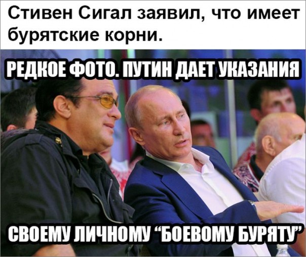 "Мыздобулы" в картинках. Смешных и не очень... 11-09-2016 "Мыздобулы" в картинках. Смешных и не очень... 11-09-2016