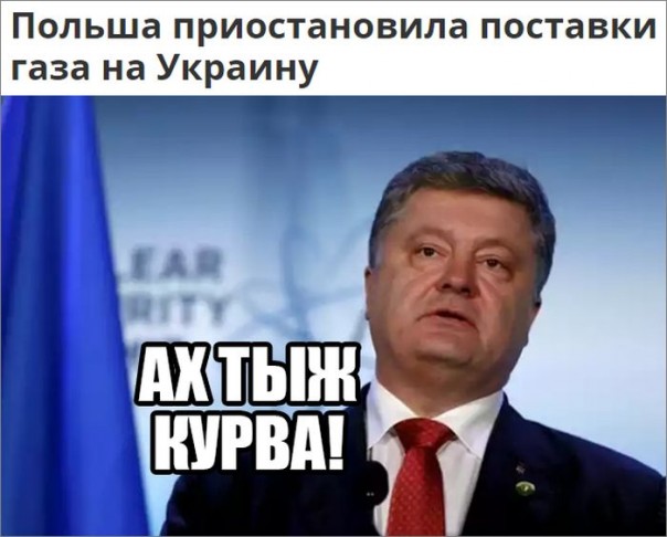 "Мыздобулы" в картинках. Смешных и не очень... 12-09-2016 "Мыздобулы" в картинках. Смешных и не очень... 12-09-2016