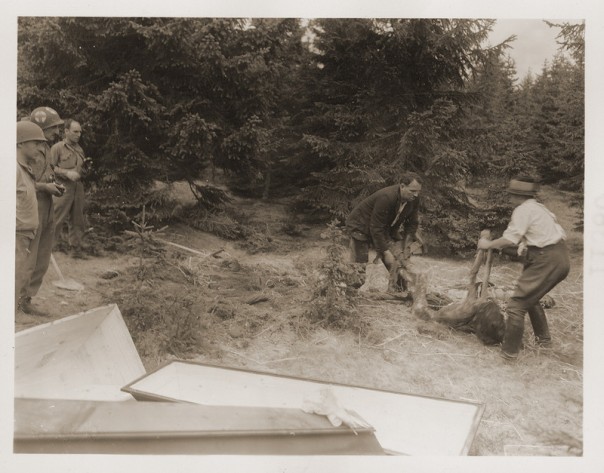 Денацификация (фото 18+)