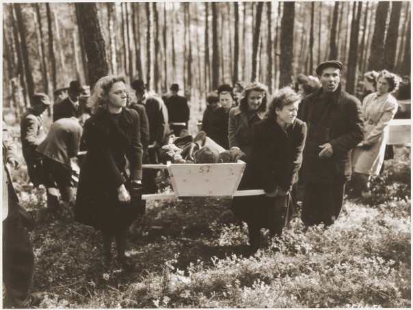 Денацификация (фото 18+)