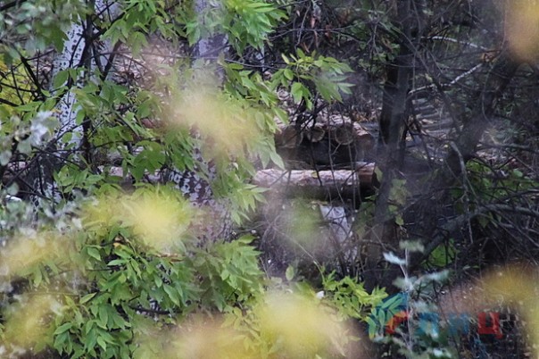 Сводка от НМ ЛНР 28 сентября 2016 года. ВСУ в районе Станицы возвели блиндаж в 50 метрах от позиций Народной милиции ЛНР