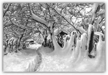 Снег, согревающий душу.