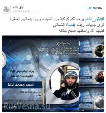 Битва за Хаму: ВКС России уничтожают боевиков с воздуха, спецназ «Тигры» освобождает города (18+)