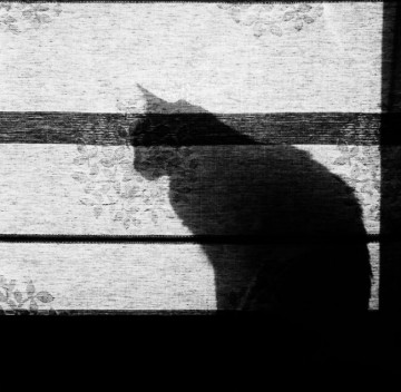 Грация и мистика