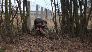 ЛНР: Украинские военные гибнут в Донбассе из-за неумения обращаться с оружием