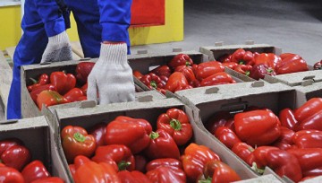Украинцы продолжают тоннами везти продукты в Крым