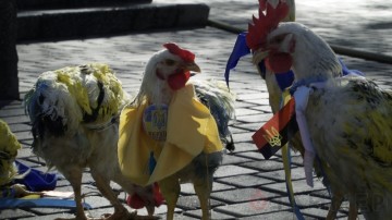 Нацистов в Одессе бьют не только бабы на привозе, но даже бомжи