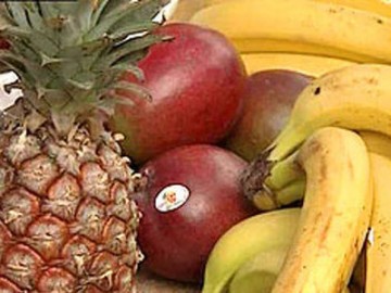 Якутские арбузы и петербургские бананы: для российских аграриев нет климатических преград