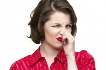 Польшу пучит и колбасит. Николай Долгачев