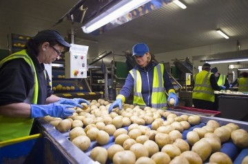Литва: Специалисты пророчат стране печальное будущее из-за миграции